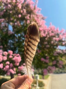 Instagram post by @mykier