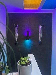 Instagram post by @mykier