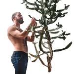 @mykier Instagram Profile