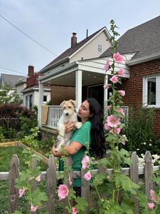 Instagram post by @annmarieelaban