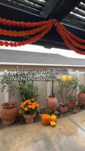 Instagram post by @cheflynntorres