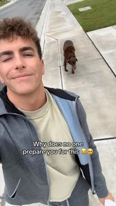 Instagram post by @reesegonzales