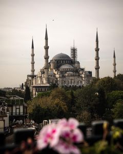 Instagram post by @swizzysworld