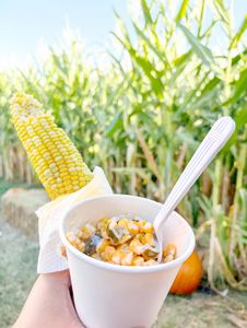 Instagram post by @thevanessaporter