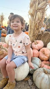 Instagram post by @thevanessaporter