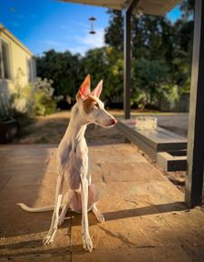 Instagram post by @2podsinapod