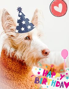 Instagram post by @2podsinapod