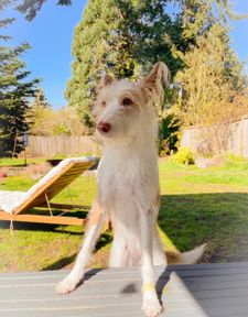 Instagram post by @2podsinapod