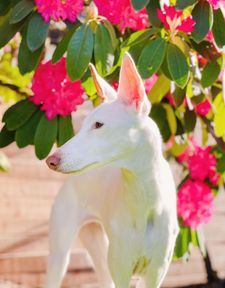 Instagram post by @2podsinapod