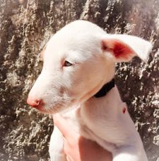 Instagram post by @2podsinapod