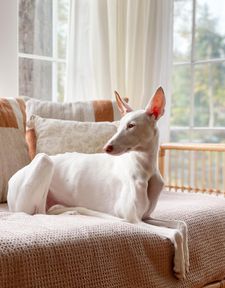 Instagram post by @2podsinapod