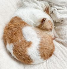 Instagram post by @2podsinapod