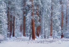 Instagram post by @nickif24