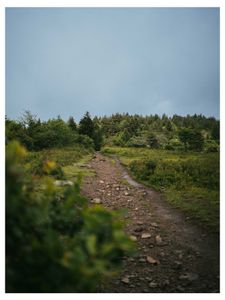 Instagram post by @dylan.blackburn