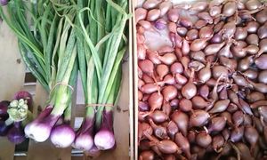 Instagram post by @tiahrubala