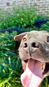 Instagram post by @gabbydepietro