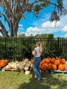 Instagram post by @thewanderingconk