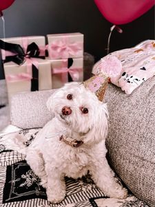 Instagram post by @melissarosebee