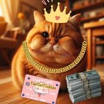 @topcattickles Instagram Profile