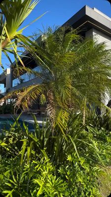 Instagram post by @carolinadvasconcelos