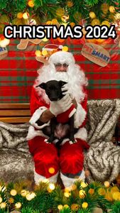 Instagram post by @blackhourglass50