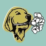 @remingtonsflowers Instagram Profile