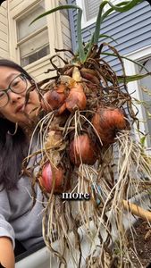 Instagram post by @motherofbokchoy