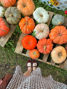 Instagram post by @olivia.r.shannon