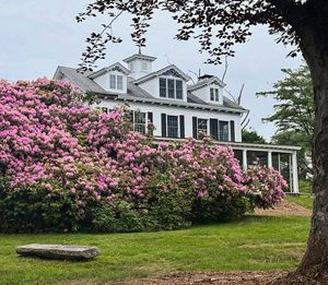 Instagram post by @samanthaefaella