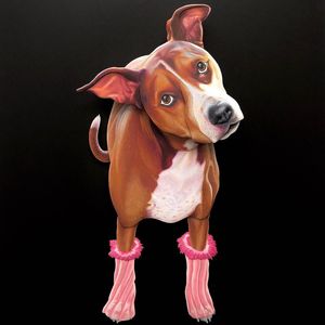 Instagram post by @emmanuel_jose