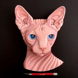 Instagram post by @emmanuel_jose