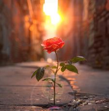 Instagram post by @alikona.health