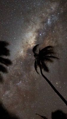 Instagram post by @alikona.health