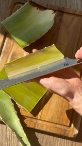 Instagram post by @rootedwithinskin