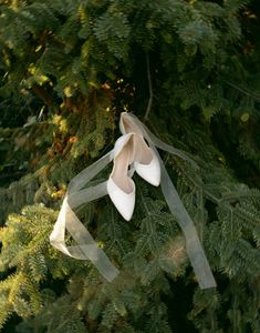 Instagram post by @janietylerphotos