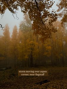 Instagram post by @selma_explores