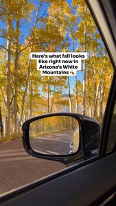 Instagram post by @selma_explores