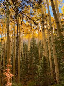 Instagram post by @selma_explores