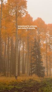 Instagram post by @selma_explores