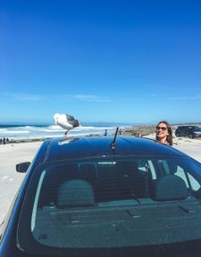 Instagram post by @togetherwanderlust