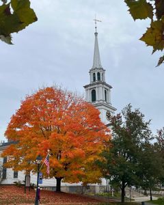 Instagram post by @manhattanista