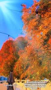 Instagram post by @iamrupindergirn