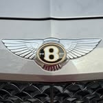 @celeb_brandon Instagram Profile