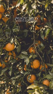 Instagram post by @nataliyakhan