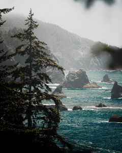 Instagram post by @center.scene