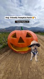 Instagram post by @hikingwithsun