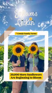 Instagram post by @hikingwithsun