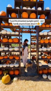 Instagram post by @hikingwithsun