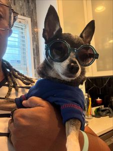 Instagram post by @callmedwj