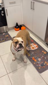 Instagram post by @thisisberrin